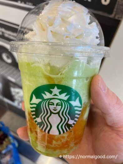 GOHOBIメロンフラペチーノ