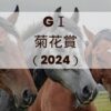 菊花賞2024