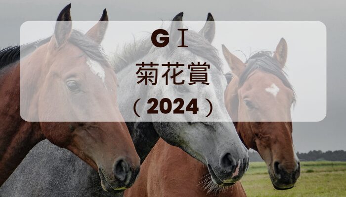 菊花賞2024