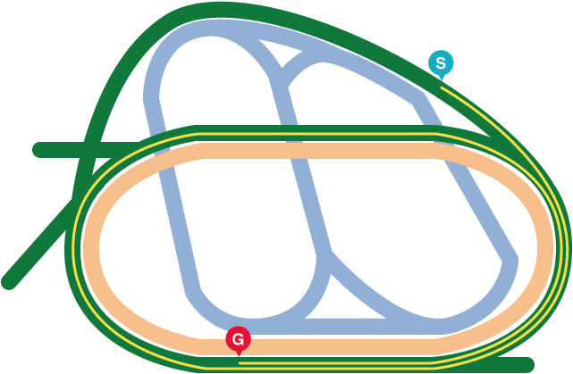 有馬記念レース詳細