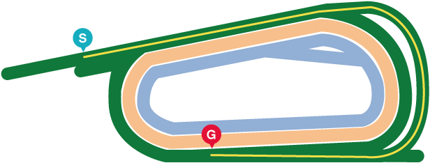 朝日杯フューチュリティステークスのコース詳細