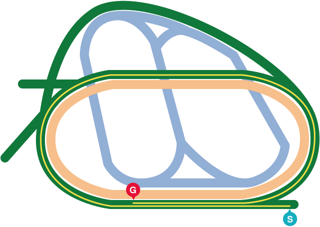 京成杯GⅢ（2025年）レース図