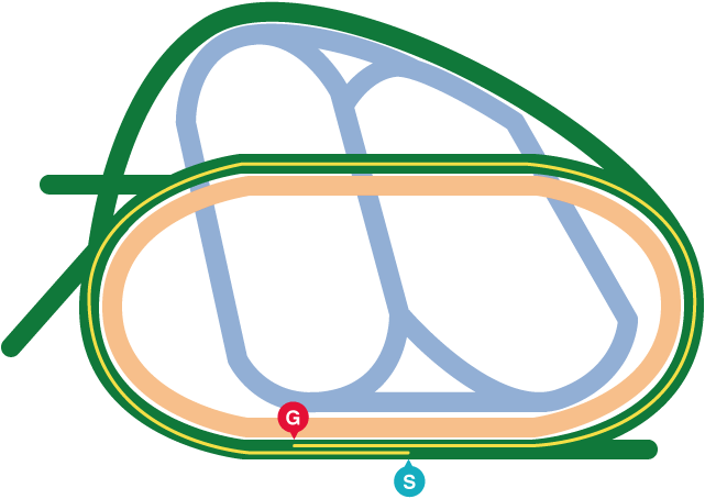 中山記念コースマップ