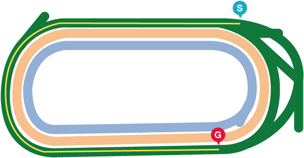 NHKマイルカップ(2025年)のレースマップ
