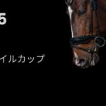 NHKマイルカップ（2025年）