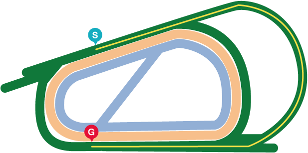 しらさぎステークスSレースマップ