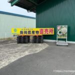 飯岡メロン（貴味メロン）2025年1