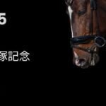 宝塚記念2025
