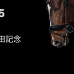 安田記念GⅠ（2025年）