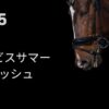 アイビスサマーダッシュ2025