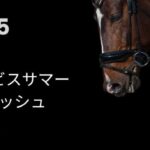 アイビスサマーダッシュ2025