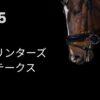 スプリンターズステークスGⅠ（2025年）