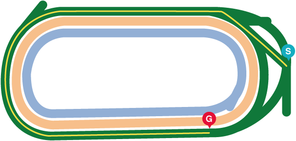 毎日王冠GⅡ(2025年)レースマップ