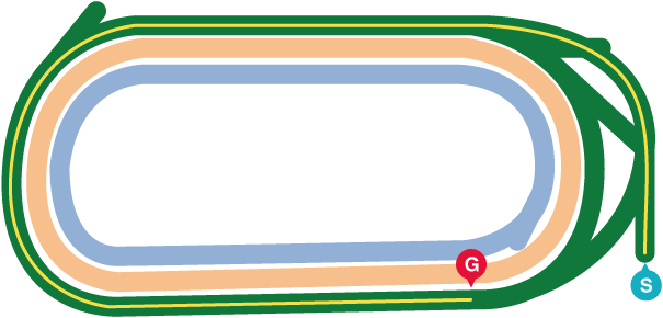 天皇賞・秋(2025年)レースマップ