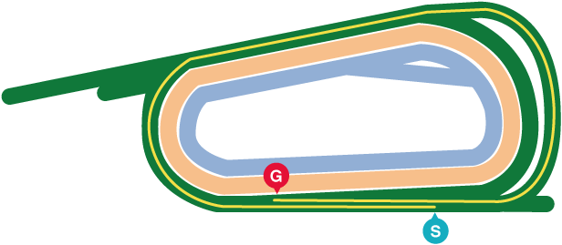 エリザベス女王杯2025レースマップ
