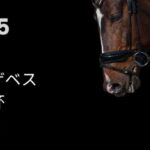 エリザベス女王杯2025