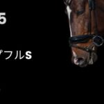 ホープフルステークスS2025