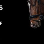 阪神JF（2025年）