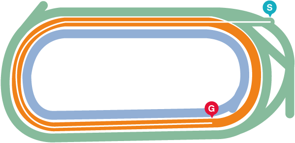 フェブラリーSのレースマップ2026年