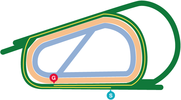 大阪杯2026レースマップ